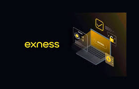 Exploring the Versatility of Exness Web Platform Exploring the Versatility of Exness Web Platform